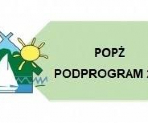 POPŻ PODPROGRAM 2021 – efekty 